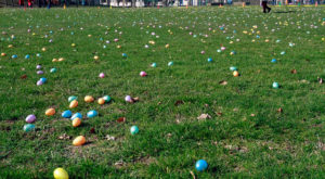 easter-egg-hunt