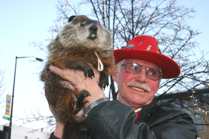 Jimmy The Groundhog 