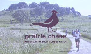 Prairie Chase